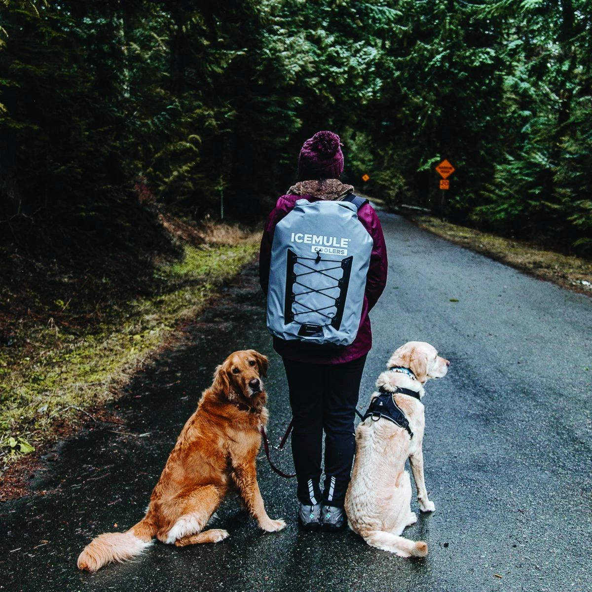 IceMule Pro XL 33L (Fall 2022) 8 IceMule Pro XL 33L (Fall 2022) - Image 8