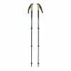 Black Diamond Alpine Carbon Cork WR Trekking Poles