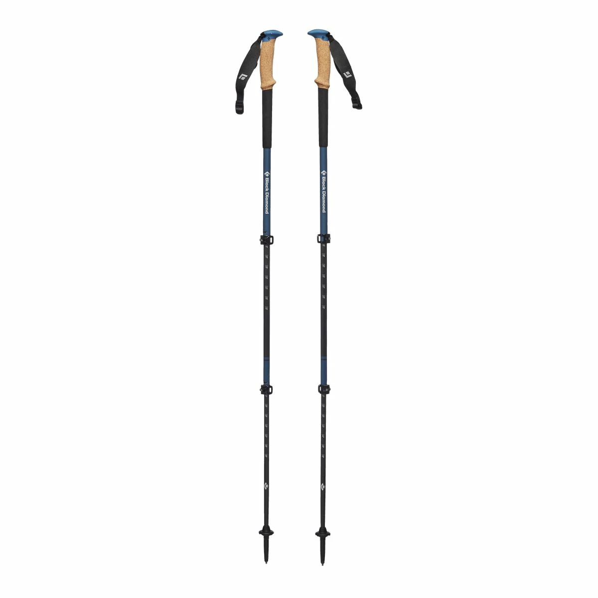 Black Diamond Alpine Carbon Cork WR Trekking Poles 1 Black Diamond Alpine Carbon Cork WR Trekking Poles