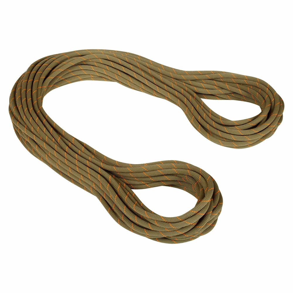 Mammut 9.9 Gym Workhorse Classic Rope 1 Mammut 9.9 Gym Workhorse Classic Rope
