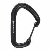 Black Diamond HotWire Carabiner