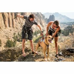 Ruffwear Doubleback Harness 9 Ruffwear Doubleback Harness -Climbing Accessories Outlet Shop 30301 doublebackharness 02 zoom 18654.1626822196