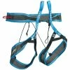 Camp Alp Race Harness