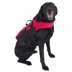 NRS CFD - Canine Flotation Device 9 NRS CFD - Canine Flotation Device -Climbing Accessories Outlet Shop 40023 01 2140 clover 091912 1000x1000 88238.1626821925