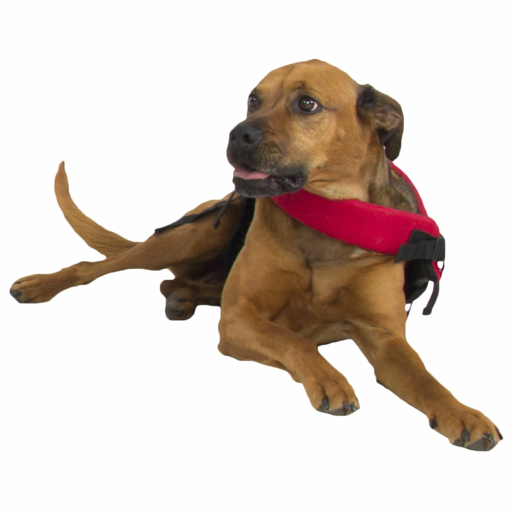 NRS CFD - Canine Flotation Device 6 NRS CFD - Canine Flotation Device - Image 6