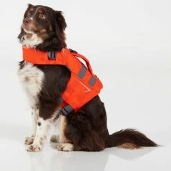 NRS CFD Dog Life Jacket -Climbing Accessories Outlet Shop 40023 02 Orange Small26lbs ModelSitting 031022 2000x2000 rsz 36799.1654628237