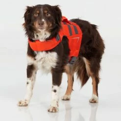 NRS CFD Dog Life Jacket -Climbing Accessories Outlet Shop 40023 02 Orange Small26lbs ModelStanding 031022 2000x2000 rsz 28240.1654628237