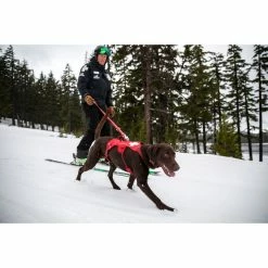 Ruffwear Patroller Leash 15 Ruffwear Patroller Leash -Climbing Accessories Outlet Shop 40771 patroller leash cinder cone red mt bachelor oregon 01 rsz 08415.1626823223