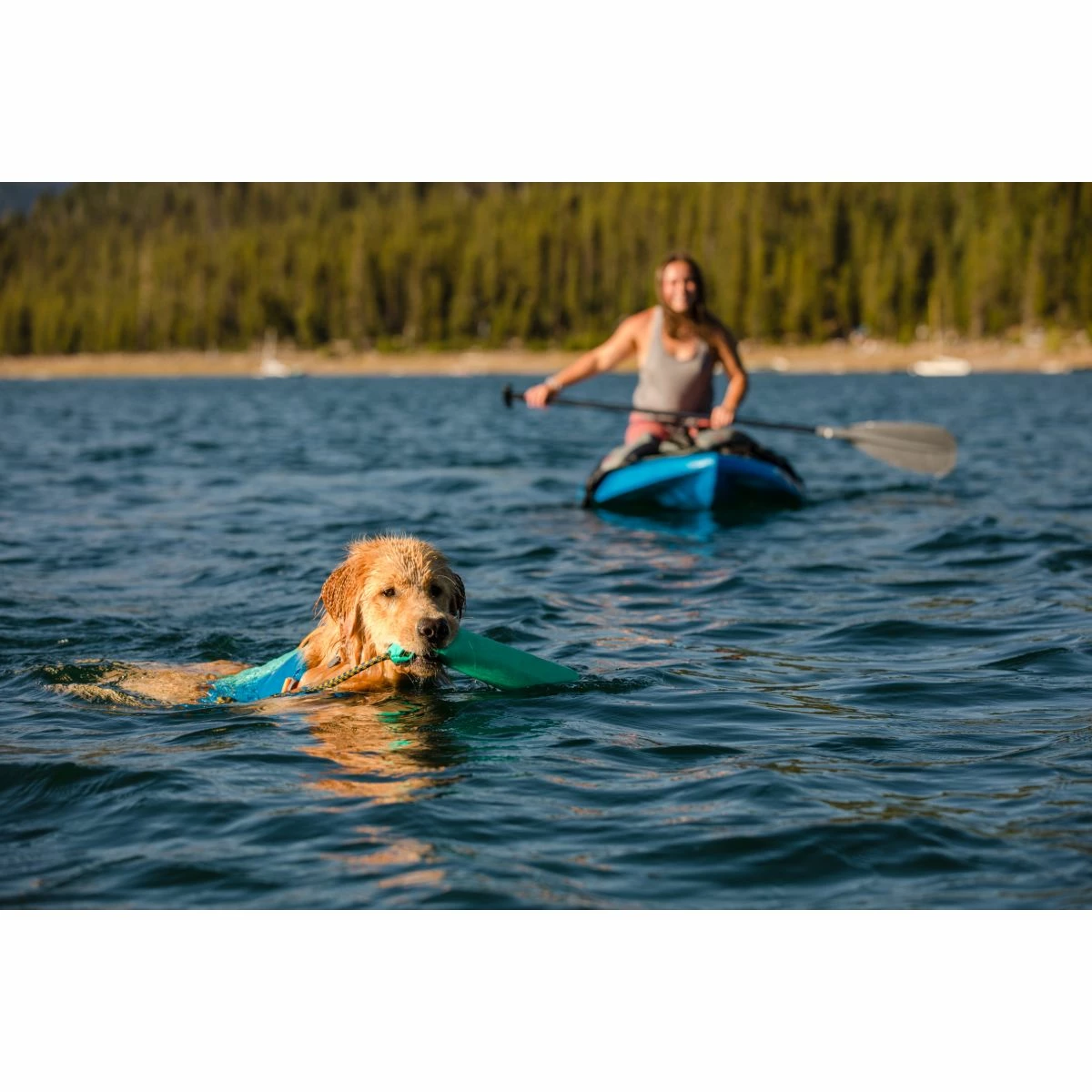 Ruffwear Float Coat Life Jacket 23 Ruffwear Float Coat Life Jacket - Image 23
