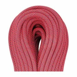 Beal Joker 9.1 Unicore - Golden Dry 7 Beal Joker 9.1 Unicore - Golden Dry -Climbing Accessories Outlet Shop 493455 rsz 80627.1650663936