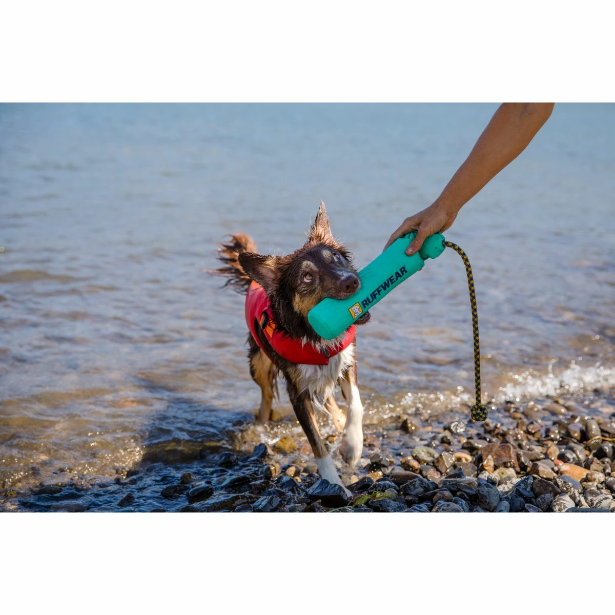 Ruffwear Lunker Toy 9 Ruffwear Lunker Toy - Image 9