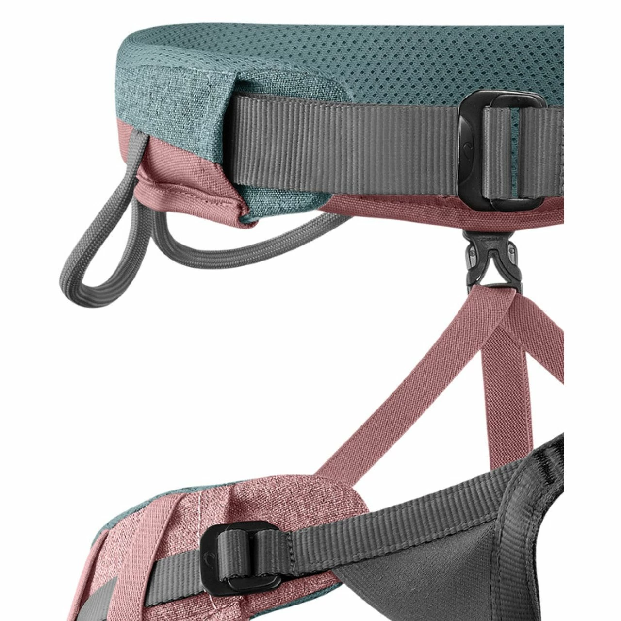 Edelrid Jayne III Harness - Women's 2 Edelrid Jayne III Harness - Women's - Image 2