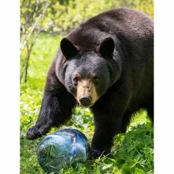 BearVault BV450-Jaunt -Climbing Accessories Outlet Shop BV450 b.jpgw3 rsz 25486.1654883155