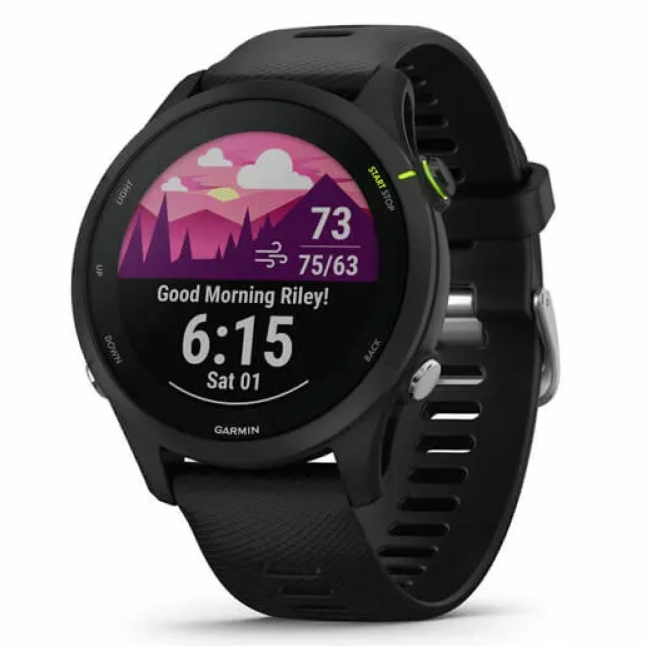 Garmin Forerunner 255 Music 1 Garmin Forerunner 255 Music