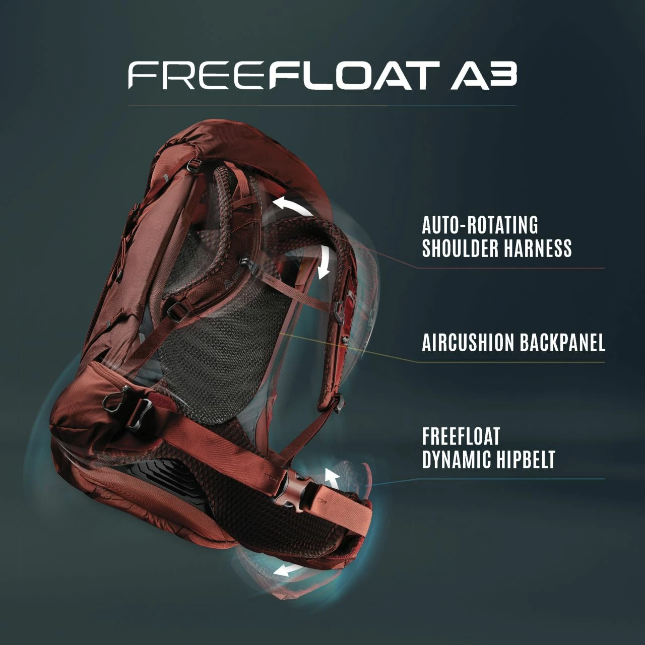 Gregory Baltoro 75 - Men's 6 Gregory Baltoro 75 - Men's - Image 6