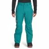 The North Face Freedom Pant - Men's (Fall 2022)