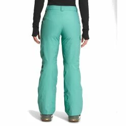 The North Face Freedom Insulated Pant - Women's (Fall 2022) -Climbing Accessories Outlet Shop NF0A5ACY 6R7 back rsz 01423.1673569343.1280.1280 67732.1676668672