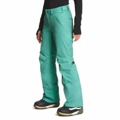 The North Face Freedom Insulated Pant - Women's (Fall 2022) -Climbing Accessories Outlet Shop NF0A5ACY 6R7 model34 rsz 44536.1673569343.1280.1280 06269.1675301478