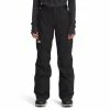 The North Face Freedom Insulated Pant - Women's
