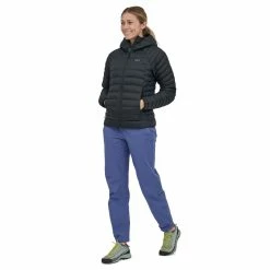 Patagonia Down Sweater Hoody - Women's (Fall 2022) 29 Patagonia Down Sweater Hoody - Women's (Fall 2022) -Climbing Accessories Outlet Shop WBF22 84712 BLK MW3 rsz 49554.1661278032