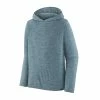 Patagonia Capilene Cool Daily Hoody - Men's (Spring 2022)