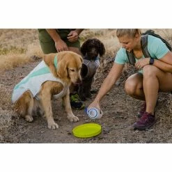 Ruffwear Swamp Cooler Vest -Climbing Accessories Outlet Shop Web JPG 05403 Swamp Cooler Cooling Vest Arizona Charley Kovie Esther Marcus Print 40 rsz 84413.1657132208