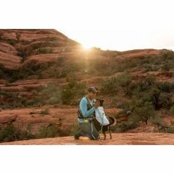 Ruffwear Swamp Cooler Vest -Climbing Accessories Outlet Shop Web JPG 05403 Swamp Cooler Cooling Vest Sage Green VernanKee Sedona Print 94 rsz 52306.1657132208