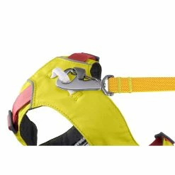 Ruffwear Hi & Light Harness 33 Ruffwear Hi & Light Harness -Climbing Accessories Outlet Shop Web JPG 30821 Hi And Light Harness Lichen Green Mist Leash STUDIO rsz 44392.1657217936
