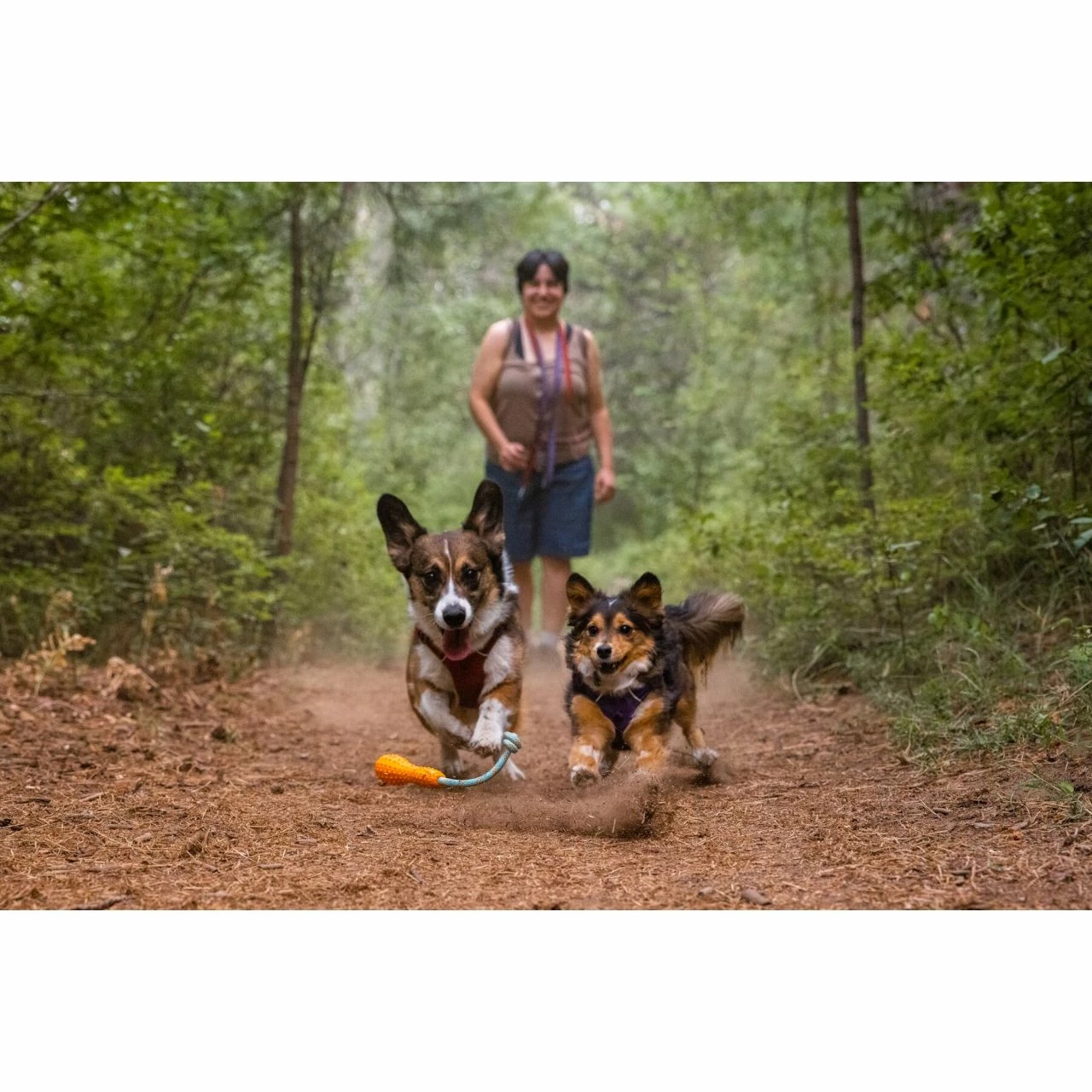 Ruffwear Gourdo Dog Toy 6 Ruffwear Gourdo Dog Toy - Image 6