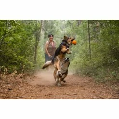 Ruffwear Turnup 20 Ruffwear Turnup -Climbing Accessories Outlet Shop Web JPG 60402 Turnup Campfire Orange Daisy Ignis Lauren DRT Print 2 rsz 10025.1657926649
