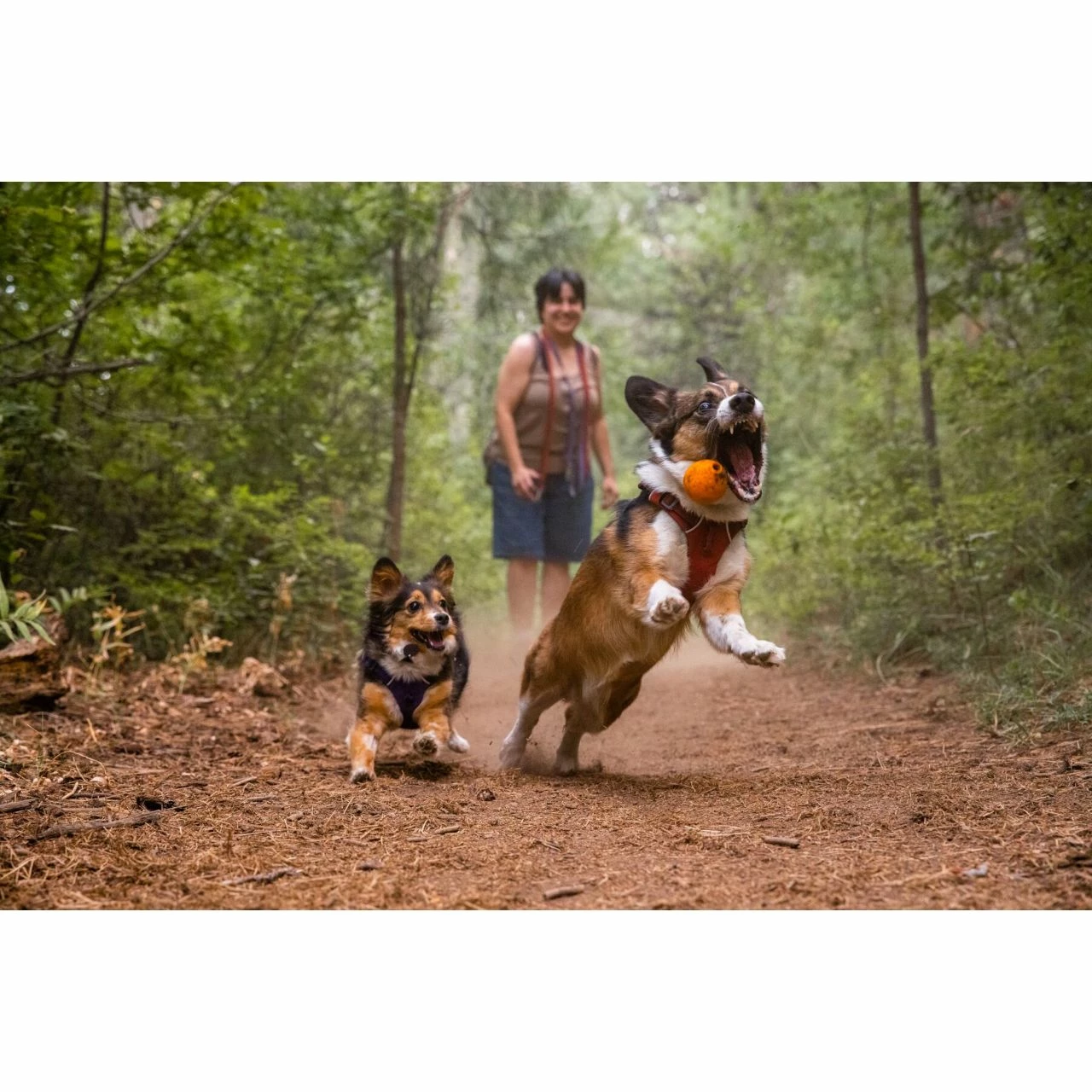 Ruffwear Turnup 8 Ruffwear Turnup - Image 8