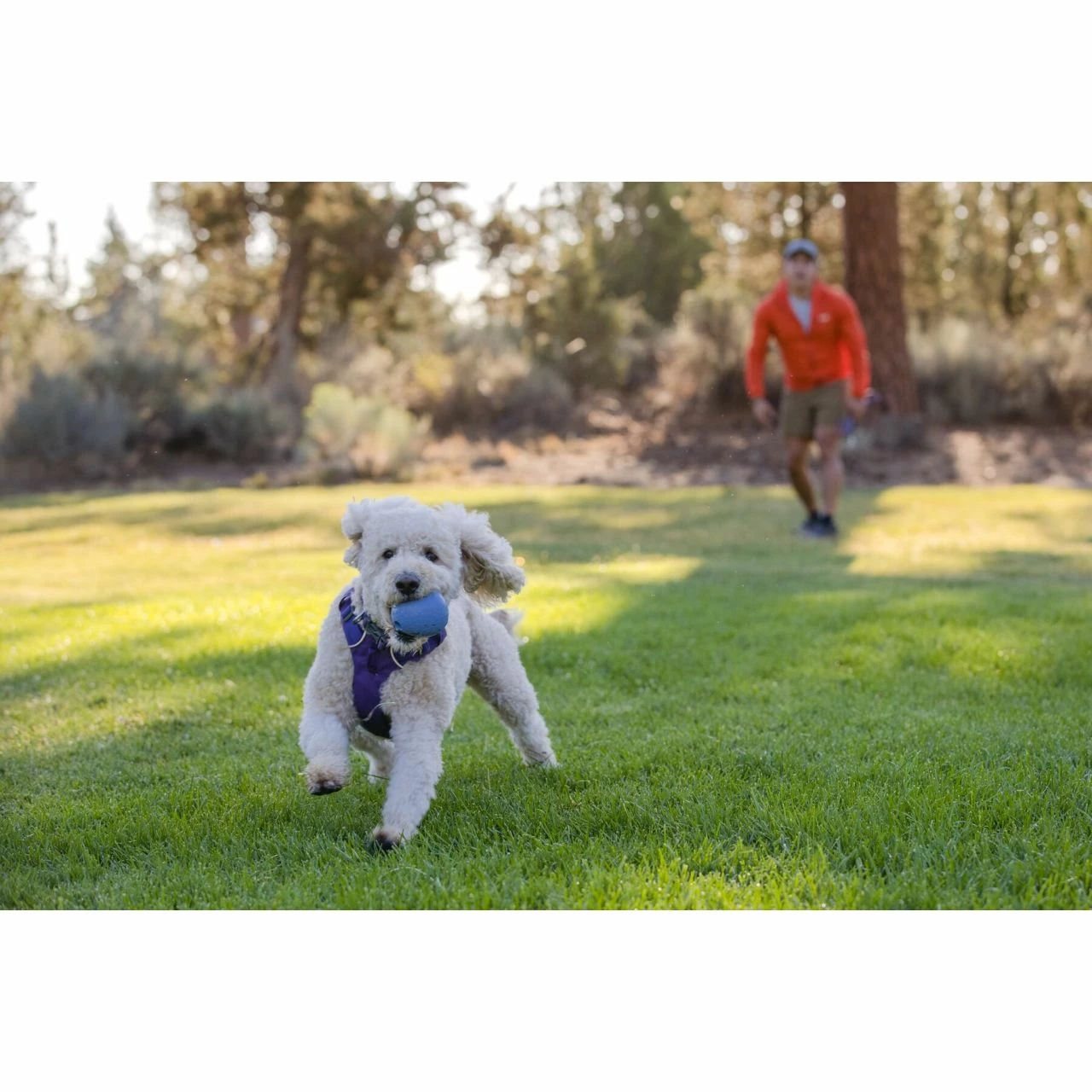 Ruffwear Huckama Dog Toy 6 Ruffwear Huckama Dog Toy - Image 6