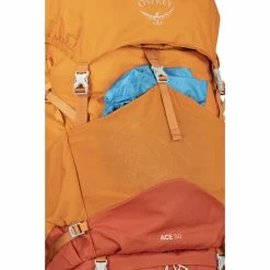 Osprey Ace 50 - Kid's 31 Osprey Ace 50 - Kid's -Climbing Accessories Outlet Shop ace50 s20 detail5 sunsetorange rsz 70639.1626823115