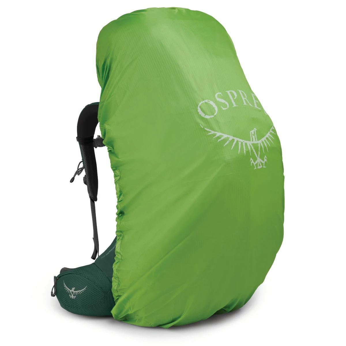 Osprey Aether Plus 85 - Men's 5 Osprey Aether Plus 85 - Men's - Image 5