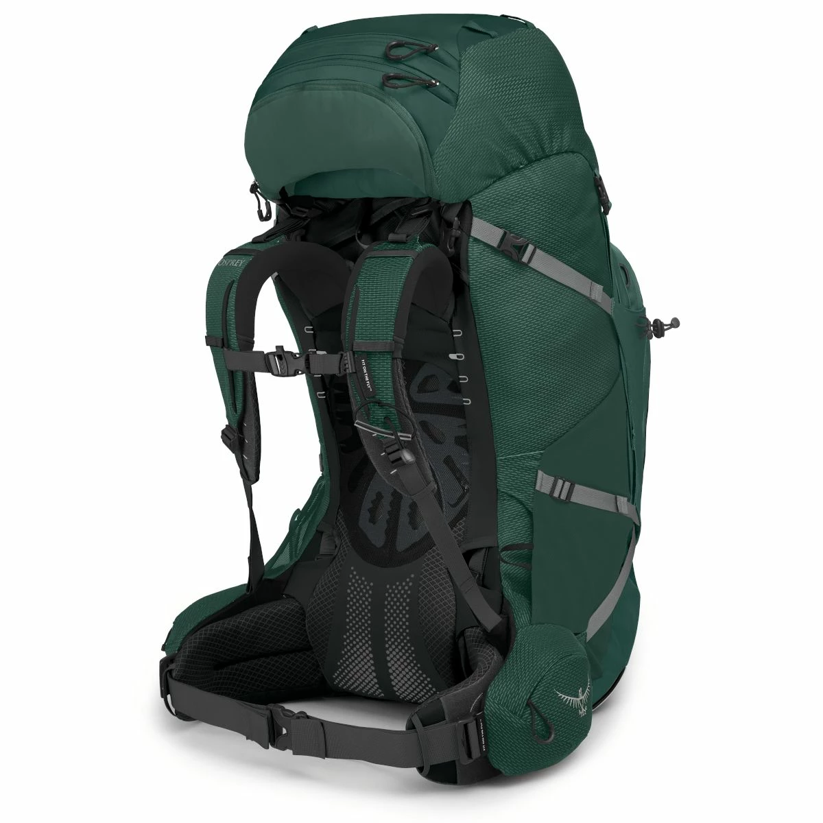 Osprey Aether Plus 85 - Men's 4 Osprey Aether Plus 85 - Men's - Image 4