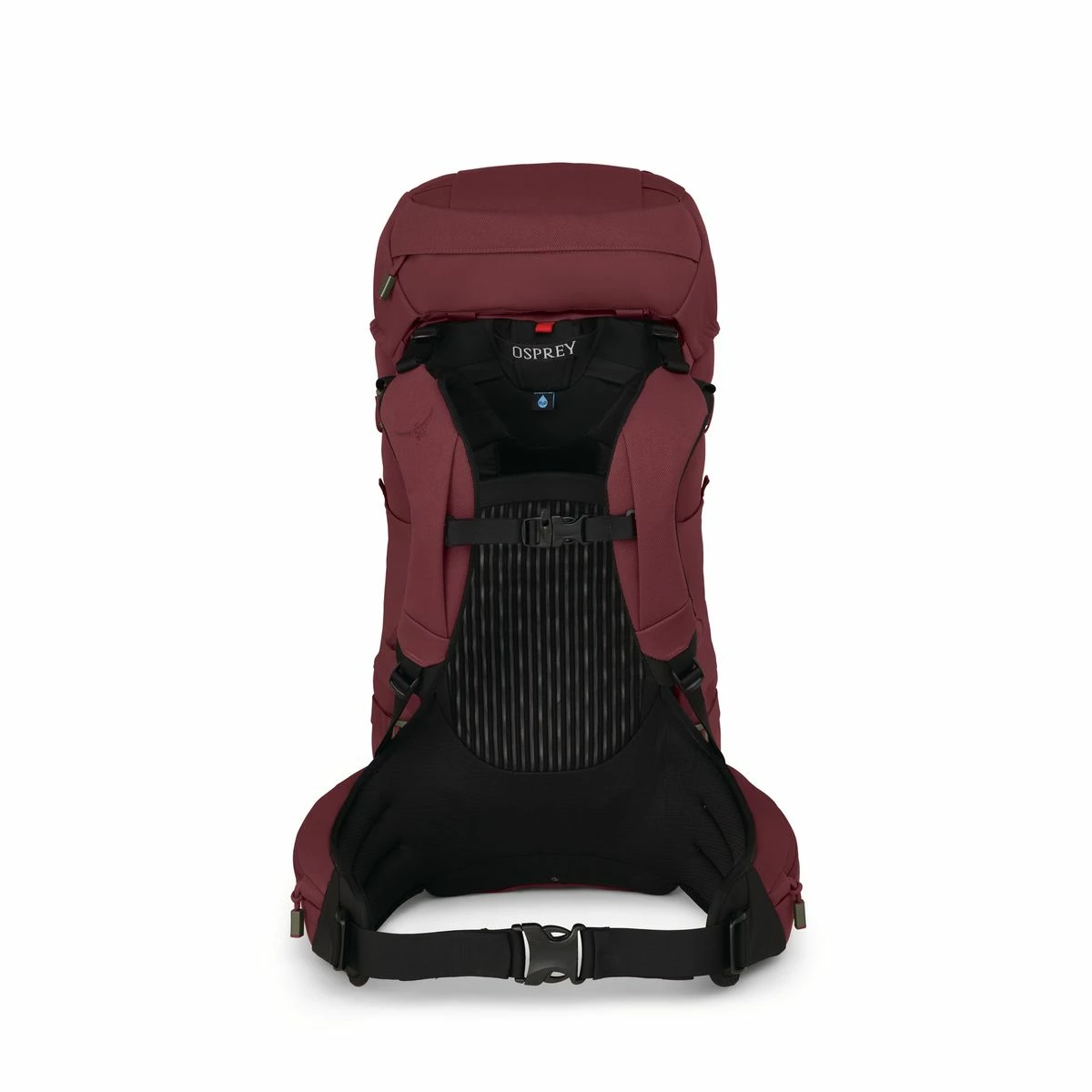 Osprey Archeon 45 - Women's (Fall 2022) 4 Osprey Archeon 45 - Women's (Fall 2022) - Image 4