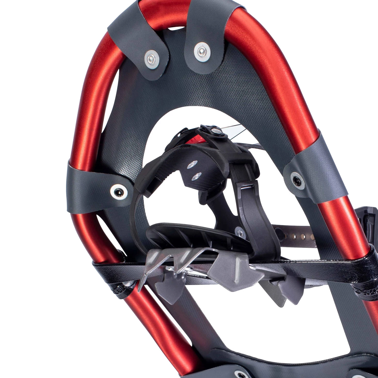 Atlas Treeline Snowshoes - Men's 5 Atlas Treeline Snowshoes - Men's - Image 5