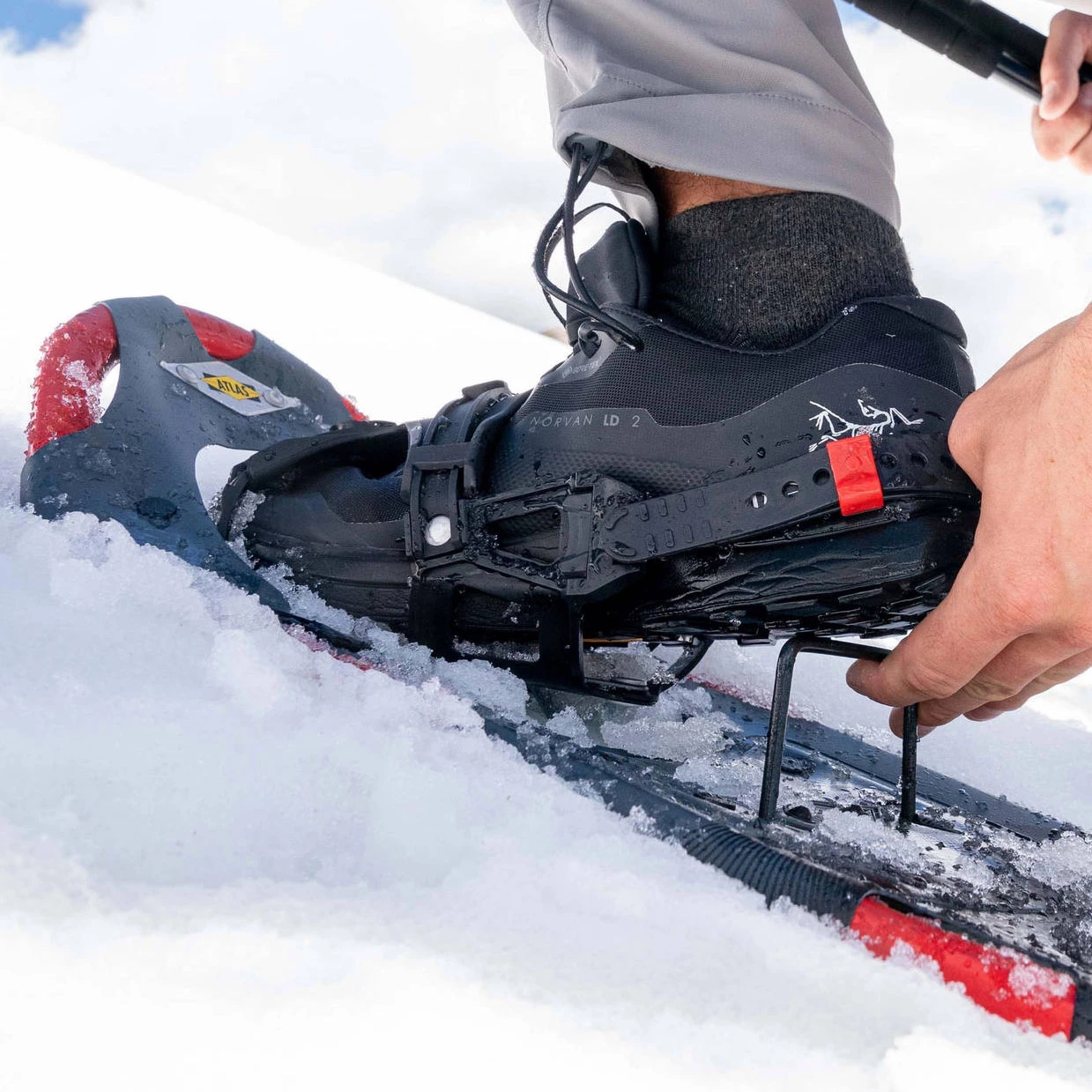 Atlas Treeline Snowshoes - Men's 7 Atlas Treeline Snowshoes - Men's - Image 7