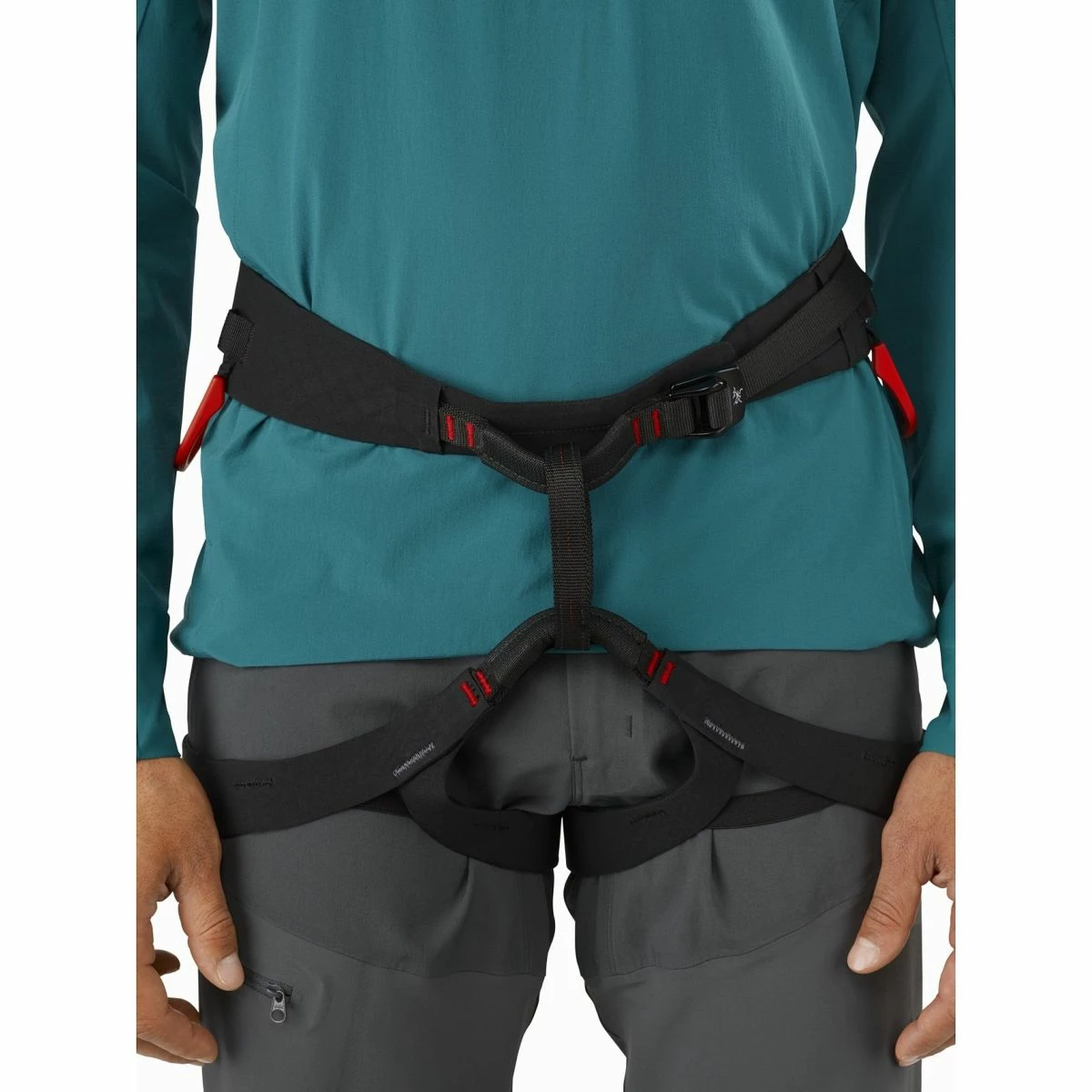 Arc'teryx C-Quence Harness - Men's 3 Arc'teryx C-Quence Harness - Men's - Image 3