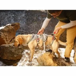Ruffwear Doubleback Harness 8 Ruffwear Doubleback Harness -Climbing Accessories Outlet Shop dogview dbharness2 zoom 38659.1626822209
