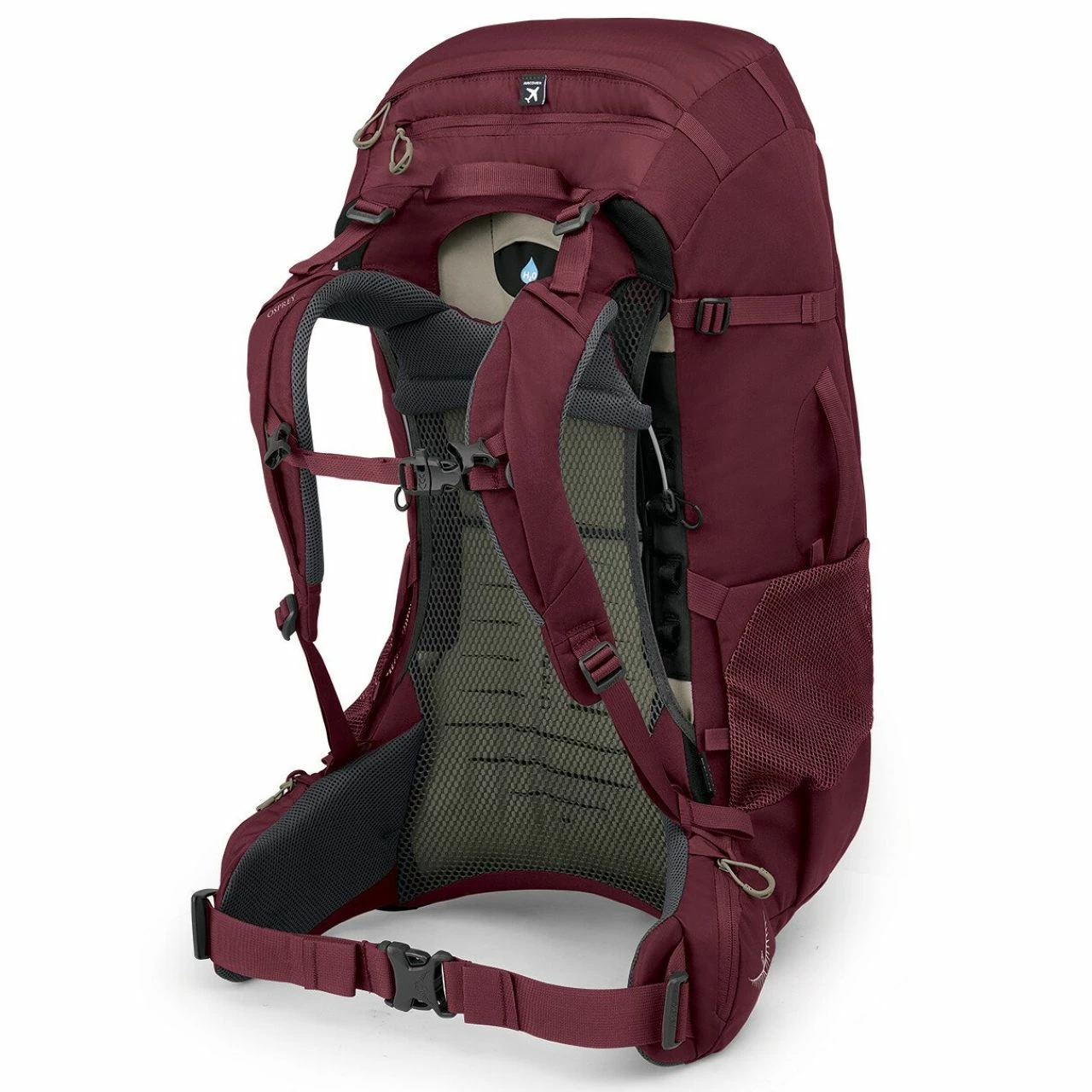 Osprey Fairview Trek Pack 50 - Women's 5 Osprey Fairview Trek Pack 50 - Women's - Image 5