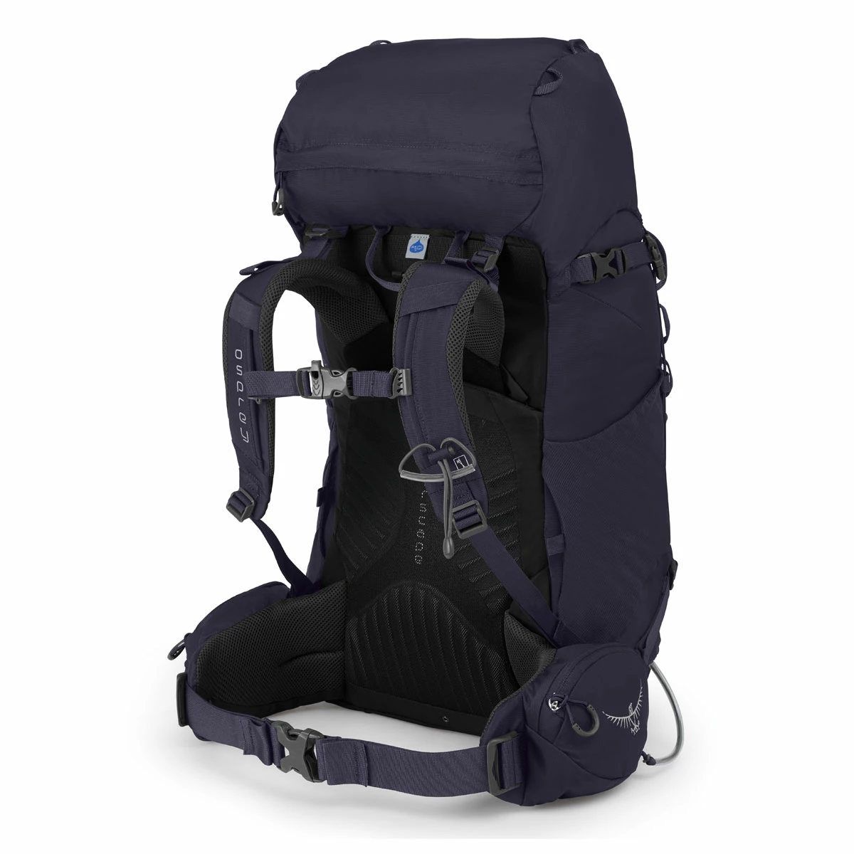 Osprey Kyte 36 - Women's (Fall 2022) 2 Osprey Kyte 36 - Women's (Fall 2022) - Image 2
