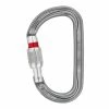 Petzl Am'D Screw-Lock - Gray