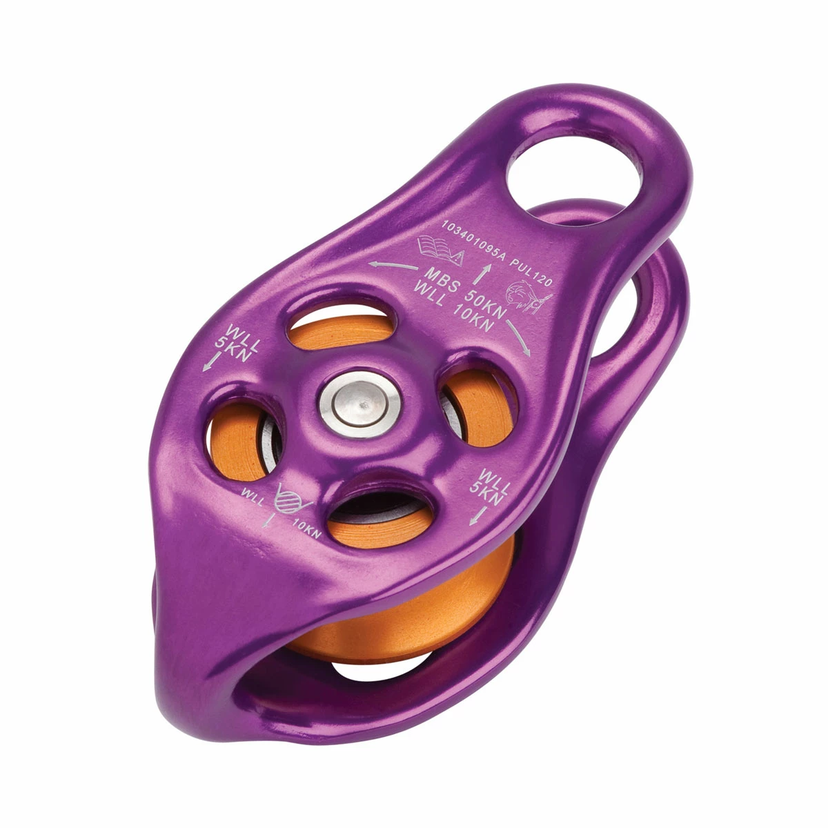 DMM Pinto Rig 1 DMM Pinto Rig