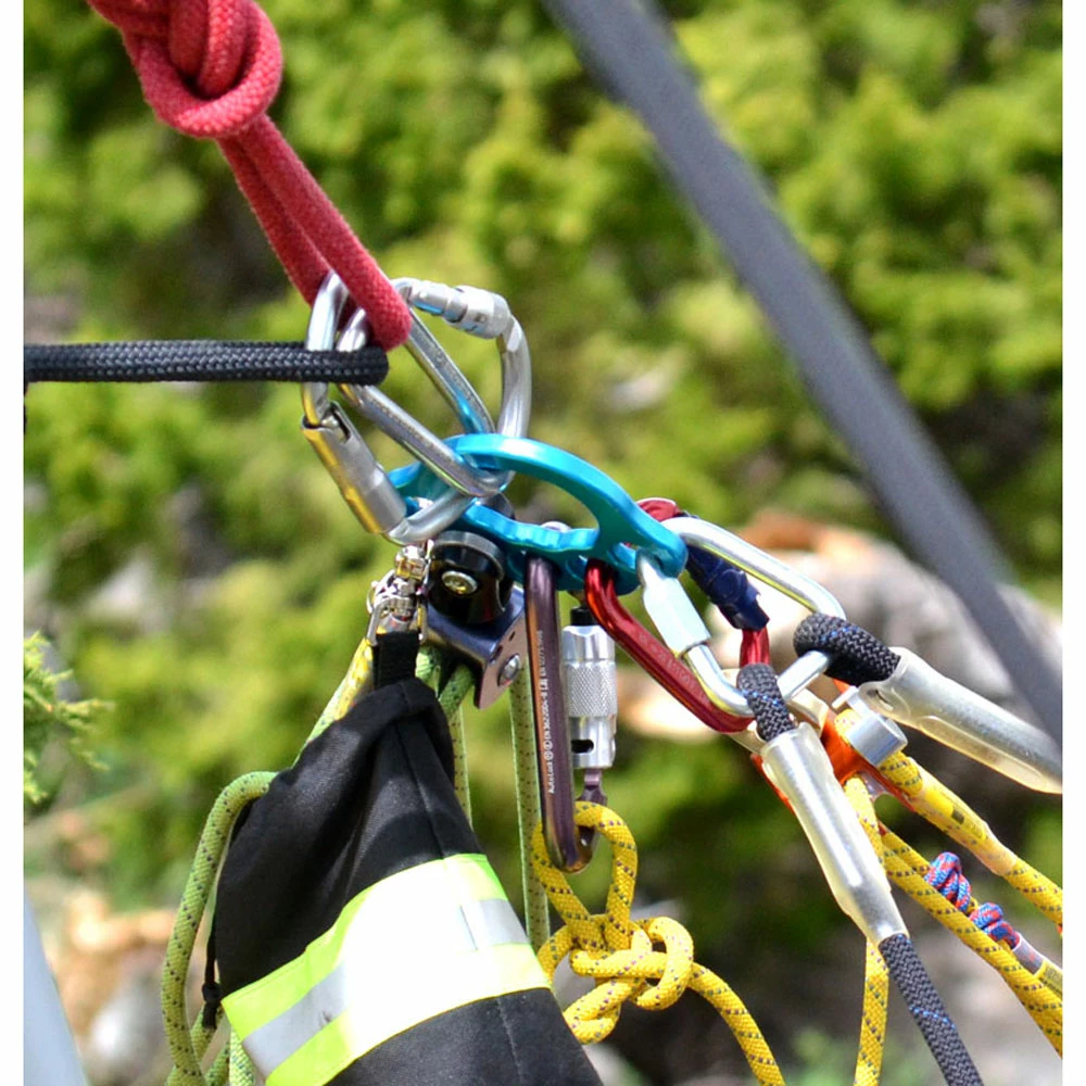 Rock Exotica PentaPlate 3 Rock Exotica PentaPlate - Image 3