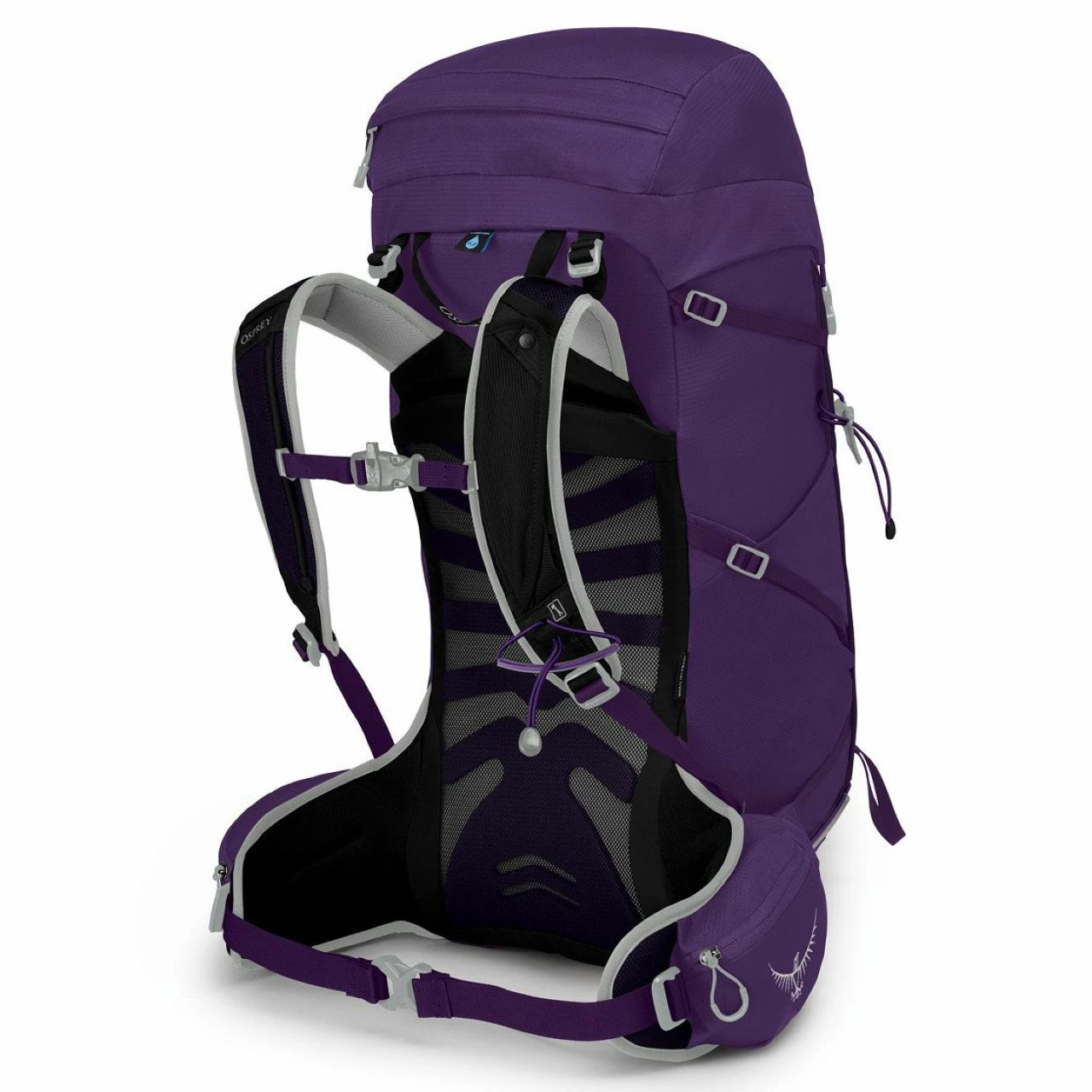 Osprey Tempest 30 - Women's 5 Osprey Tempest 30 - Women's - Image 5