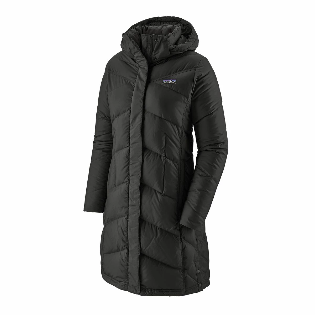 Patagonia Down With It Parka - Women's 1 Patagonia Down With It Parka - Women's