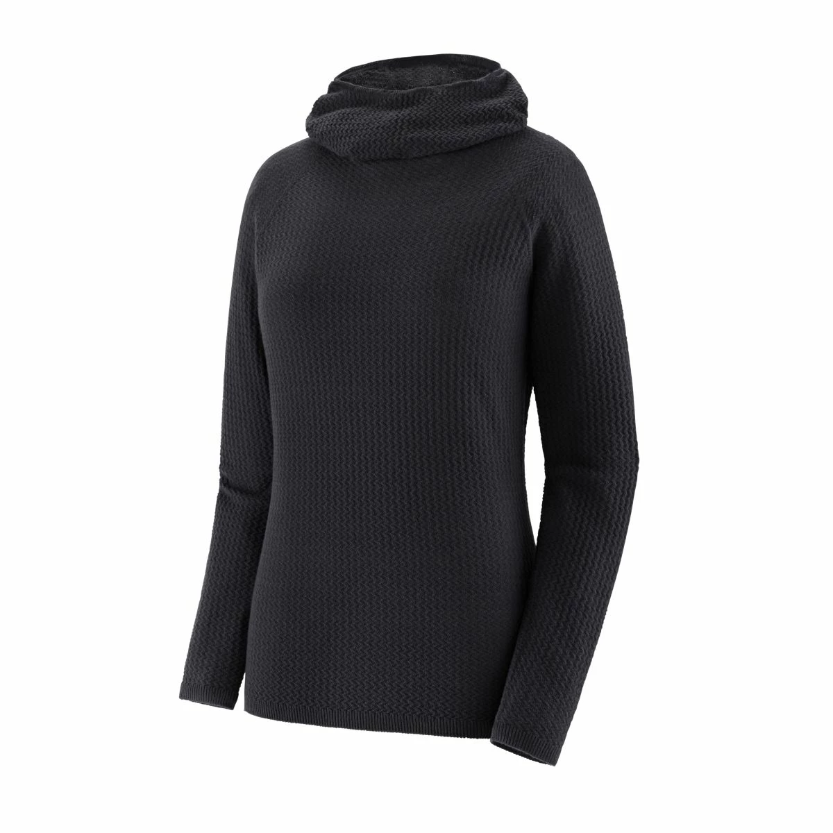 Patagonia Capilene Air Hoody - Women's 1 Patagonia Capilene Air Hoody - Women's