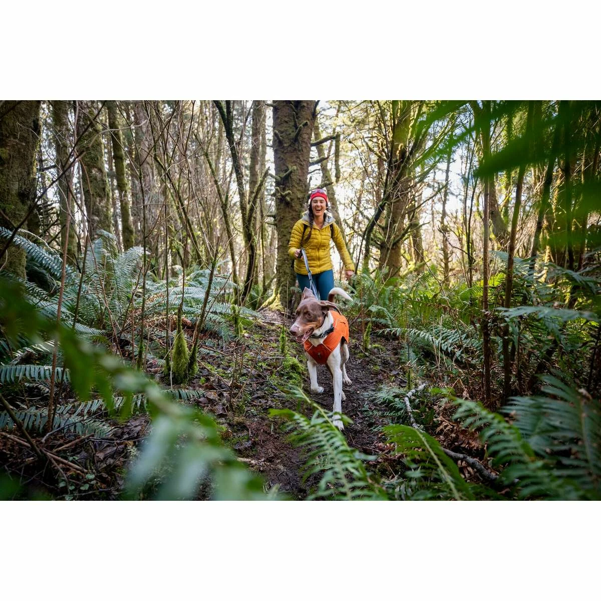 Ruffwear Overcoat Fuse Jacket (Fall 2022) 16 Ruffwear Overcoat Fuse Jacket (Fall 2022) - Image 16